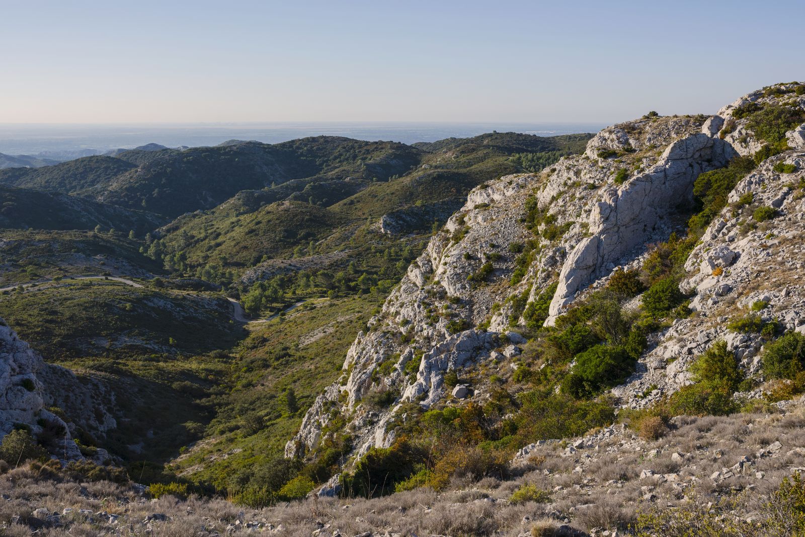 Paysage des Alpilles à Saint-Rémy-de-Provence, secteur d'intervention du carreleur